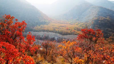 Осень самые красивые картинки фотографии