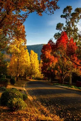 Как насладиться видами Алушты и сделать самые красивые осенние 🍁 фото? |  Дом Алушта | Дзен