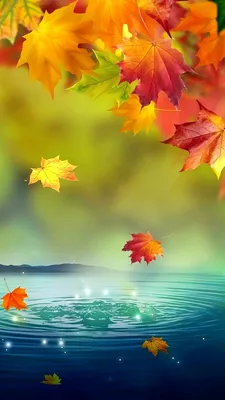 Resultado de imagem para осень обои на телефон | 紅葉 壁紙, 紅葉 景色, 紅葉 背景