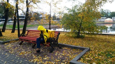 Жёлтая осень в Екатеринбурге | Пикабу