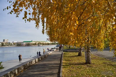 Осень и город, Екатеринбург, обложка…» — создано в Шедевруме