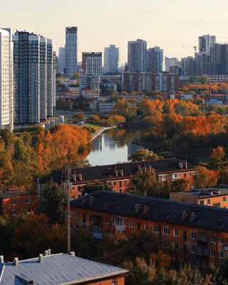 Начало недели в Екатеринбурге будет тёплым и с южным ветром