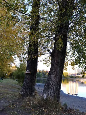 Подведены итоги фотоконкурса «Осень и зима в Екатеринбурге» - УралДобро