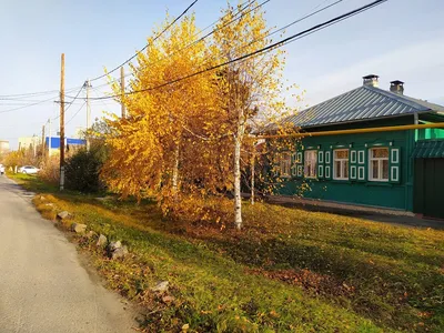 Осень в парке / Осень в дендропарке Екатеринбурга