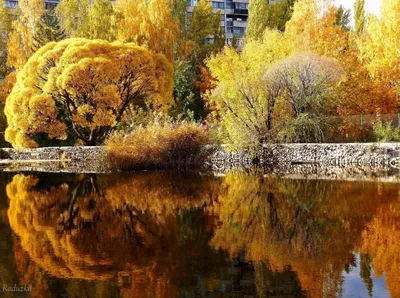 Екатеринбург, плотинка, осень, пейзаж…» — создано в Шедевруме