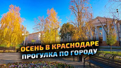 Осень в Краснодаре | Пикабу