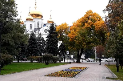 Фото: Осень в Краснодаре. Фотолюбитель Геннадий Пугачев. Пейзаж. Фотосайт  Расфокус.ру