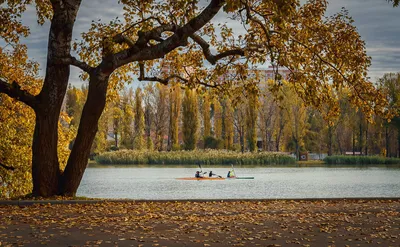 В Краснодаре сегодня просто идеальная осень!🍂☀️ Пока свет… | Flickr