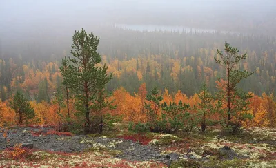 Осень на Кольском: Мурманск, Хибины, Ловозеро и Териберка 🧭 цена тура  59900 руб., отзывы, расписание туров по Кольскому полуострову