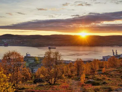 Осенние сопки в Мурманске, камни, …» — создано в Шедевруме