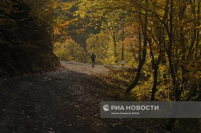 Фото: Осень в горах: свадьба в Сочи (20)