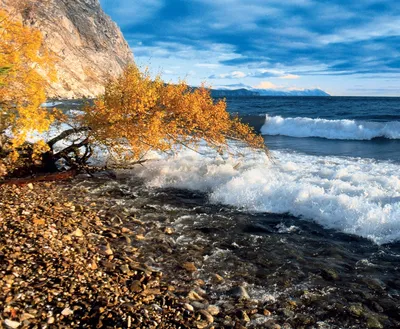 Осенние каникулы в Сочи