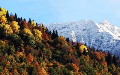 Осень в Сочи😍🍁 Фото @irina_zaika_love | Instagram