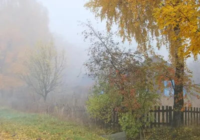 осень женщина, осень, осенняя фотосессия, девушка осенью, осень образ,  Свадебный декор Москва