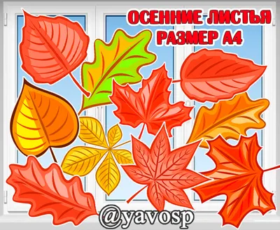 Осенние листья, осень, листья, красиво png | PNGWing