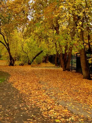 Осенний Екатеринбург — Фото №1314872