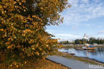 Екатеринбург, плотинка, осень, пейзаж…» — создано в Шедевруме