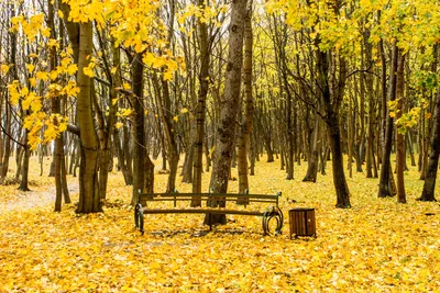 Стоит ли ехать в Калининград осенью?