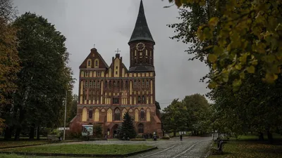 Калининград: осень в Европе | Едем-в-Гости.ru - бронирование гостиниц,  квартир, хостелов | Дзен