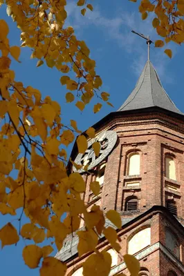 Осень в зимнем городе Калининграде, …» — создано в Шедевруме