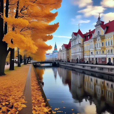 Такой привлекательный, осенний город Калининград🧡 | Instagram