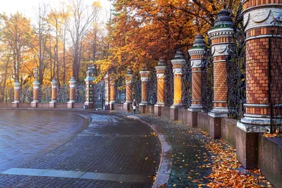 Осенние каникулы в Петербурге: где вкусно поесть и послушать березы |  Ассоциация Туроператоров