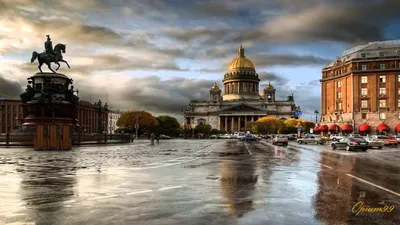 Самые сказочные фотографии золотой осени в Петербурге - KP.RU