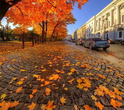 Осенний санкт петербург фото фотографии