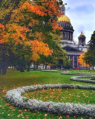 Осенний дождь в Санкт-Петербурге, …» — создано в Шедевруме