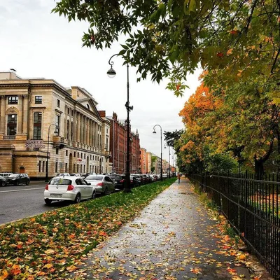 Золотая осень в Санкт-Петербурге – когда, что посетить