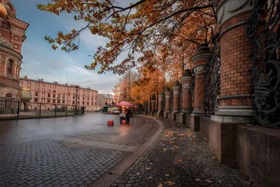 Осенний парк в Санкт-Петербурге | Пикабу