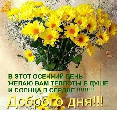 Доброго дня! 💝 | Доброе утро, Осенний день, Осень