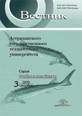 Ценные осетровые виды рыб полностью исчезли из Азовского моря | 12.10.2023  | ИА SM.News