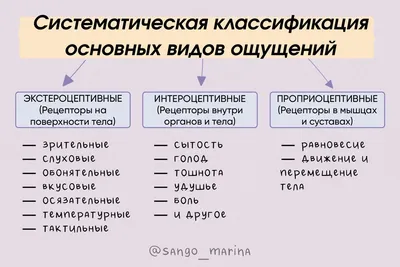 Психология. Ощущение - презентация онлайн