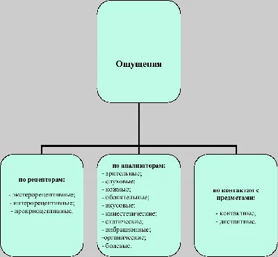 Глава 1. Ощущение и восприятие