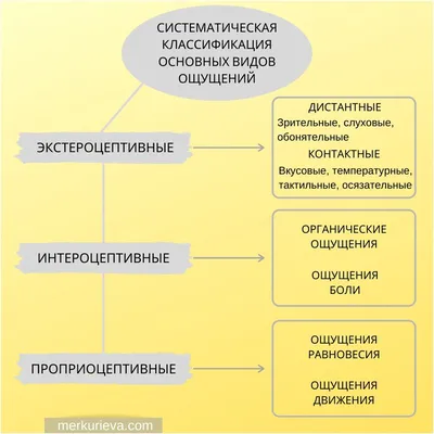 Ощущения – творец нашей индивидуальности | Сайт психологов b17.ru | Дзен