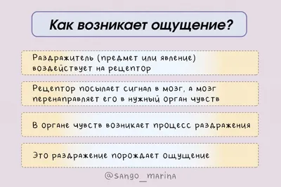 Этапы родов — раскрытие, изгнание, рождение последа.