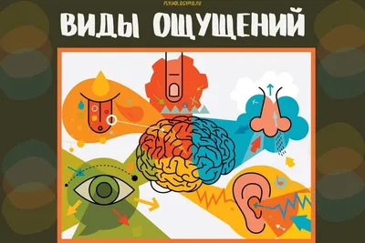 Ощущения - что это такое? Подробнее в статье.