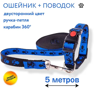 Комплект: Поводок и ошейник для собак и кошек, для мелких пород и небольших  животных, 5 метров с карабином и ручкой, рисунок \"лапки\", сине-черный -  купить с доставкой по выгодным ценам в интернет-магазине