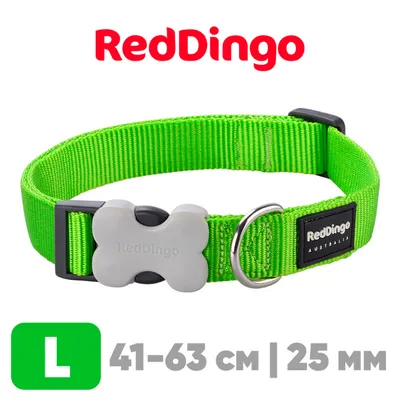 Ошейники и поводки для собак Red Dingo | Купить зеленый ошейник