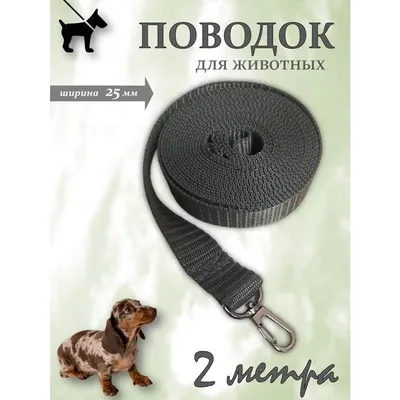 Поводок для собак: как подобрать подходящий аксессуар вашему питомцу? -  Интернет-зоомагазин MegaZOO.by