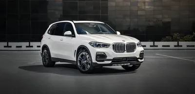 Представлен новый BMW X5 2019: фото и характеристики