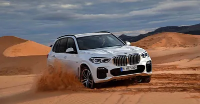 У нас появились фотографии нового BMW X5 — Авторевю