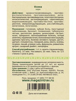 Зеленая осина стоковое изображение. изображение насчитывающей погода -  32726779