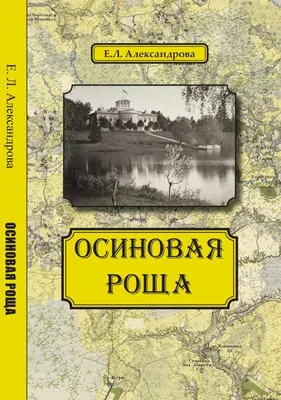 В Парголове снесли остатки руинированной усадьбы Осиновая Роща — Новости  строительства Санкт-Петербурга — Канонер