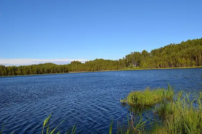 Осиновая Роща — подробное описание, адрес и фото