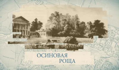 Пансионат для пожилых людей и инвалидов, Осиновая Роща | Saint Petersburg