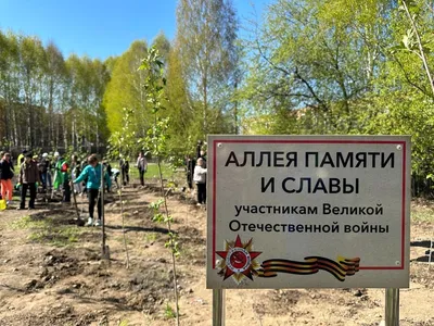 Купить загородную недвижимость в поселке Осиновое Плесо Новокузнецкого  района, продажа загородной недвижимости - база объявлений Циан. Найдено 3  объявления