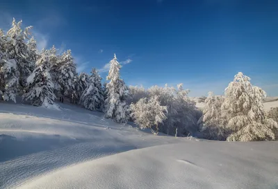 Коробушка — Википедия