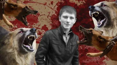 Воюя собаки, оскал 2 собак друг против друга Стоковое Изображение -  изображение насчитывающей любимчик, отечественно: 112998231